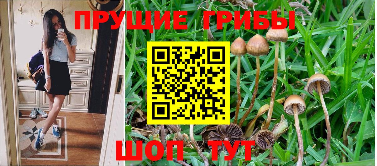 Галлюциногенные грибы Cubensis  Псилоцибиновые грибы Magic Shrooms  где купить   Туапсе  Вход с VPN 
