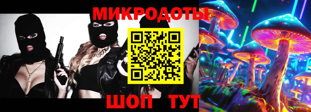 Галлюциногенные грибы Psilocybine cubensis Туапсе